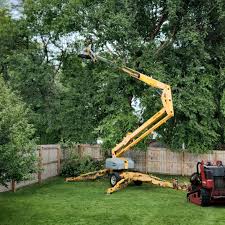 Best Tree Mulching  in Baxter, MN